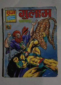 Vintage Hindi Comic Books Collection
