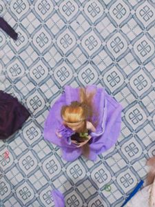 Rapunzel doll