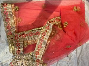 Stylish Lehenga for Festive Wear With Can-Can