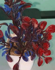 Show piece flower