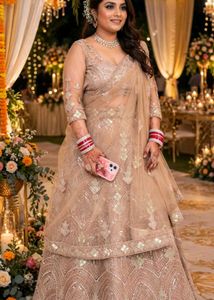 Stunning Sequin Lehenga Choli Set