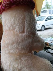 Cute Teddy Bear with Heart Hat