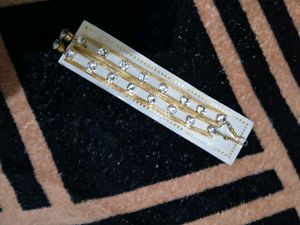 New Long Richlook Earings