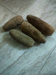 Best Natural Loofah Sponge