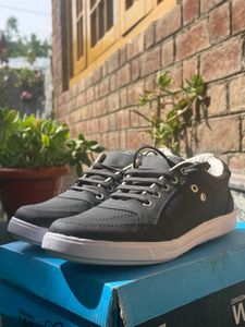 Original Willgo Shoes - Black Sneakers