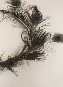 Because Feather Decorative Item