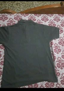 The Mens Tshirt