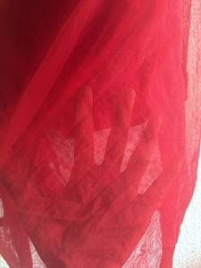 2.5 Meter Full Net Dupatta With Velvet Desig Borde