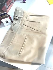Stylish Beige Pleated GurkhaTrousers