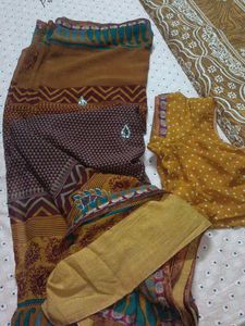 Beautiful Ethnic Saree with Blouse