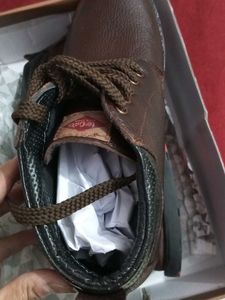 brand new shoes