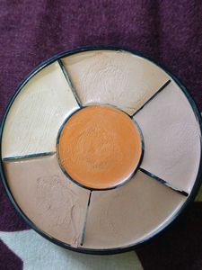 Insight Pro Concealer Palette
