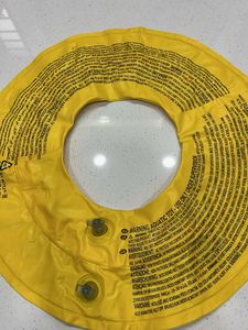 Intex Swim Ring
