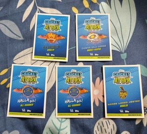 2014 Cricket Attax Silvers Combo