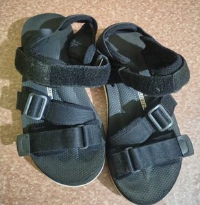 Dickies Sandal Men