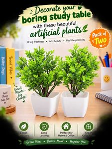 pack Of 2 artificial plants must read description