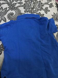 Allen Solly Blue Polo T-Shirt