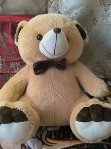 Teddy Bear 🧸