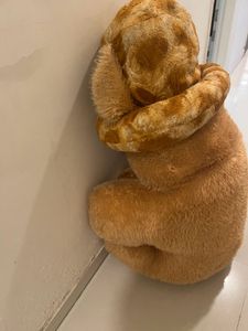 Life Size Teddy Bear