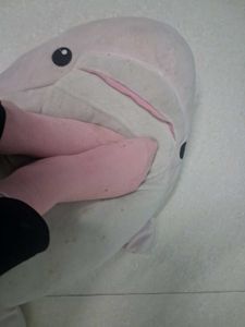 Pink Ankle Socks