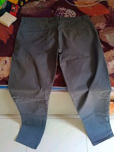 Branded Gray Caused Pant