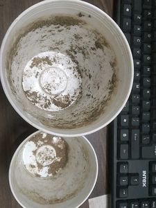 12 White Plastic Plant Pots