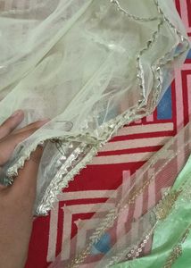 Beautiful Green Sequined Lehenga Choli
