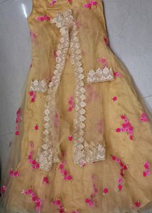 Beautiful Net Gown With Coaty