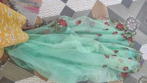 Beautiful mint green net  embroidered saree