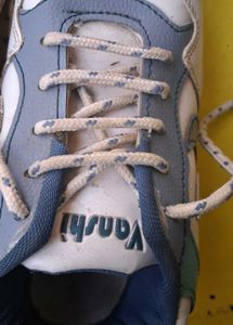 Casual White &amp; Blue Sneakers