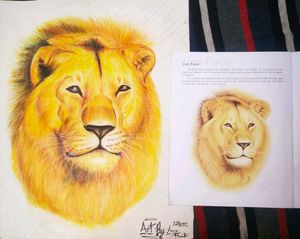 Lion Drawing