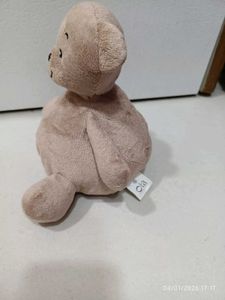 Collectible Cute Teddy Bear Plush Toy