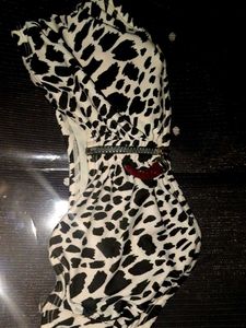 Dalmatian Print Top
