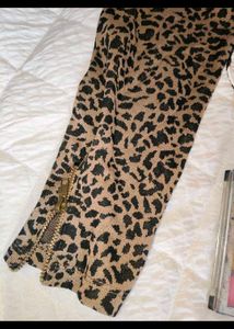 Leopard Print Long Sleeve Mini Dress