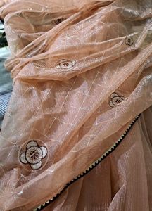 vintage Peach Saree with Blouse🌸