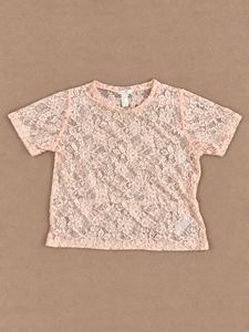 Forever 21 Sheer Lace Cropped Top1 — Vintage/Archi