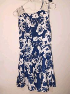 Blue Floral Lace Trim Dress