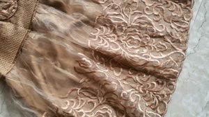 Luxury Embroidered Organza Party Dress