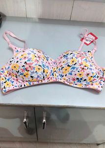 Women's Cotton Blend Printed Non-Padded Everyday B