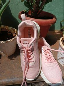 Stylish Pink Campus Sneakers
