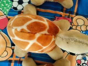 Cute Plush Tortoise Toys