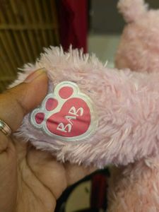 Pink Teddy Bear