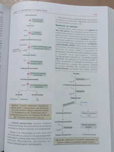 Essentials of Biochemistry