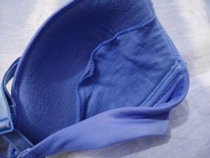 Chic Blue Push-Up Bra