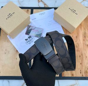 Coach Signature Belt