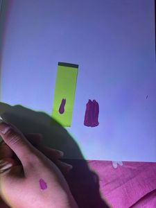 Zudio All Day Matte Lip Colour