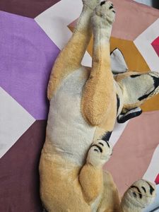 Cute Plush Dog Toy