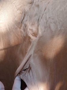 Brown Wide Leg Fromal trousers