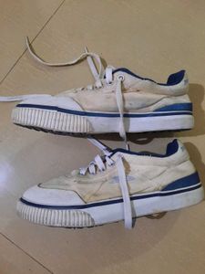 White Canvas Sneakers with Blue Trim