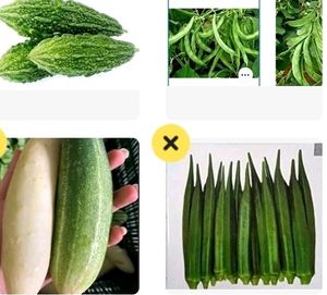 Pack 11  Plates2 &amp; Seeds 9 vairty